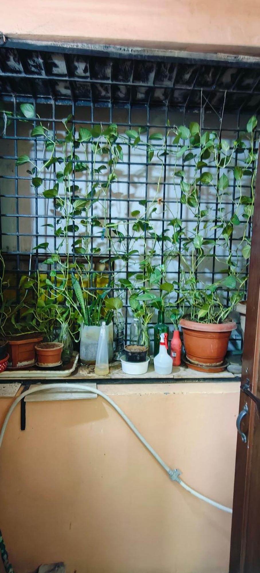 Rani'S Nest Leilighet Hyderabad Eksteriør bilde